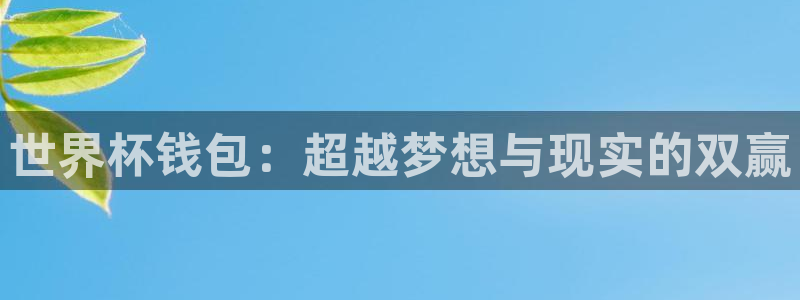 2026男足世界杯赛程：世界杯钱包：超越梦想与现实的双赢