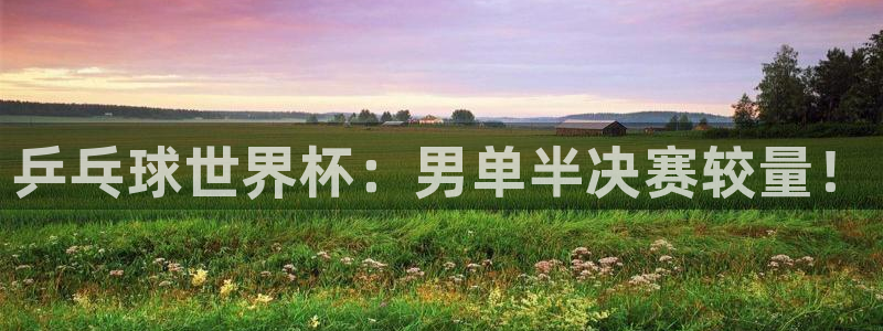 世界杯视频：乒乓球世界杯：男单半决赛较量！