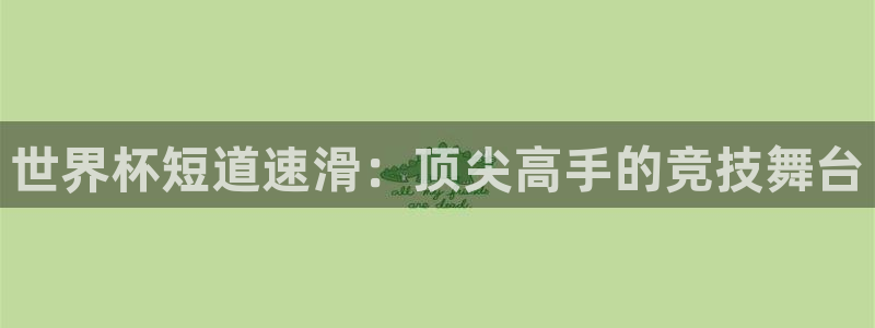 2026世界杯赛：世界杯短道速滑：顶尖高手的竞技舞台