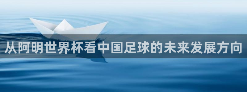 2006年世界杯冠军:从阿明世界杯看中国足球的未来发展方向