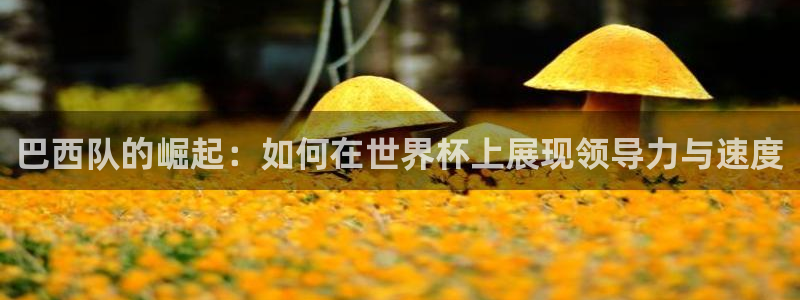 2026世界杯赛程表完整版：巴西队的崛起：如何在世界杯上展现领导力与速度