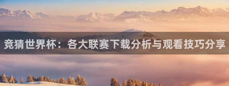世界杯对阵图2026：竞猜世界杯：各大联赛下载分析与观看技巧分享