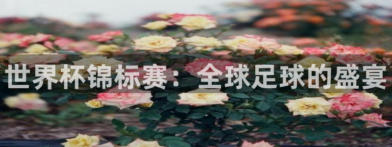 中国 世界杯：世界杯锦标赛：全球足球的盛宴