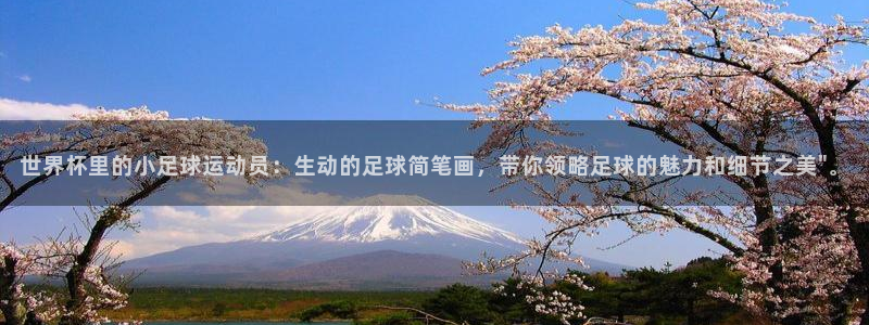 2026年世界杯赛程表时间：世界杯里的小足球运动员：生动的足球简笔画，带你领略足球的魅力和细节之美\