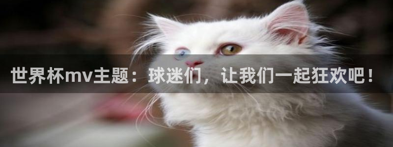 世界杯赛程表2026：世界杯mv主题：球迷们，让我们一起狂欢吧！