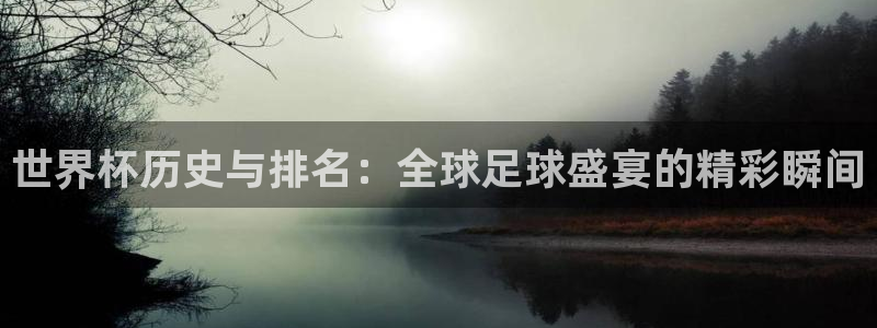 世界杯48支球队赛制：世界杯历史与排名：全球足球盛宴的精彩瞬间