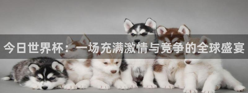 2026世界杯日期：今日世界杯：一场充满激情与竞争的全球盛宴