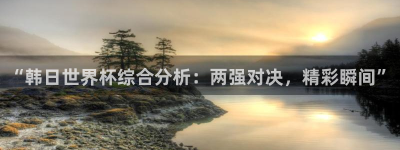 2026足球世界杯：“韩日世界杯综合分析：两强对决，精彩瞬间”