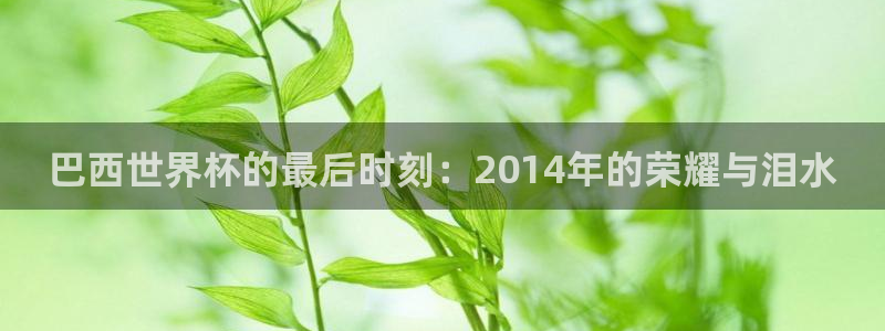 法国杯2026赛程表：巴西世界杯的最后时刻：2014年的荣耀与泪水