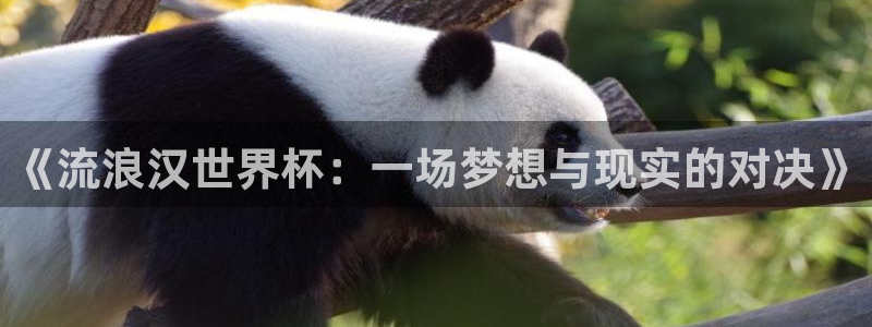 世界杯预选赛赛程时间表：《流浪汉世界杯：一场梦想与现实的对决》