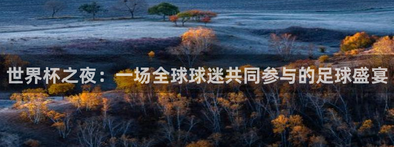 2026世界杯预选赛：世界杯之夜：一场全球球迷共同参与的足球盛宴