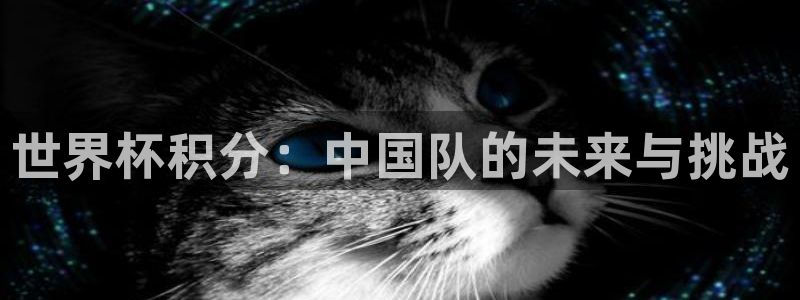 2026年足球世界杯赛程时间表：世界杯积分：中国队的未来与挑战