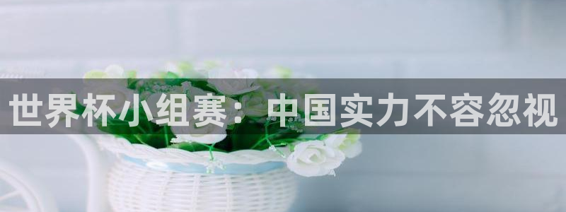 葡萄牙世界杯赛程：世界杯小组赛：中国实力不容忽视