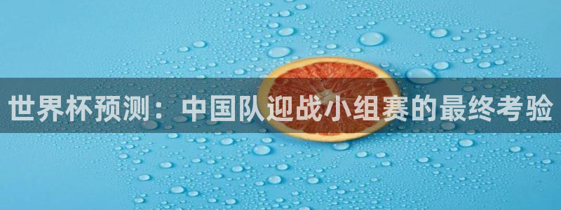 预选赛世界杯：世界杯预测：中国队迎战小组赛的最终考验