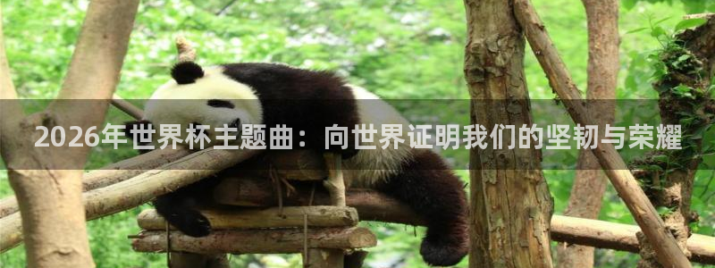 2026世界杯赛程时间表最新：2026年世界杯主题曲：向世界证明我们的坚韧与荣耀